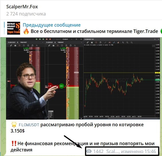 Scalpermrfox телеграмм