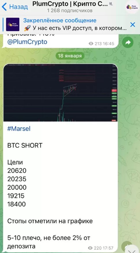 Телеграм канал PlumCrypto сигналы