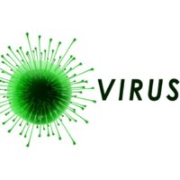 Virus криптовалюта