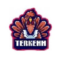 Проект Terkehh token