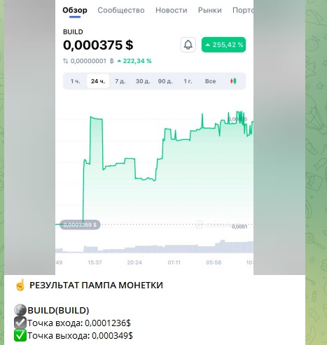 Обзор проекта Crypto Anatomy