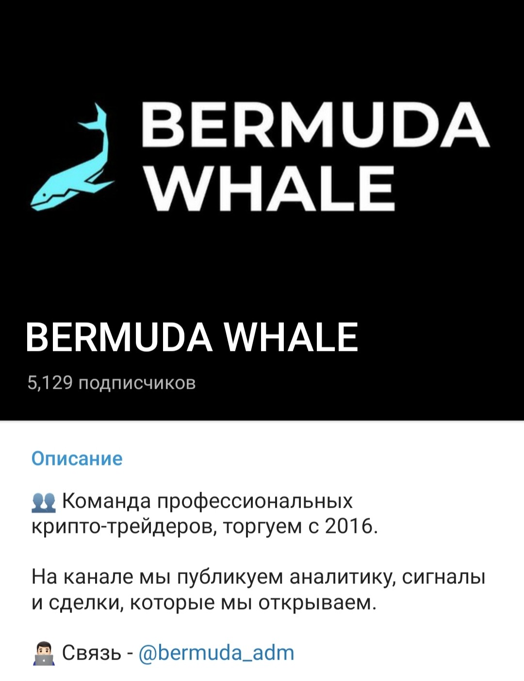 Телеграм Bermuda Whale обзор