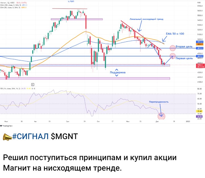 Хомяк активный обзор акций