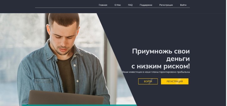 Tradermax проект