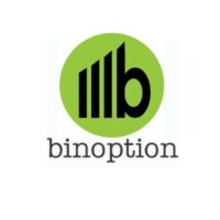 bin option проект