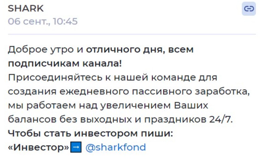 shark телеграмм канал инвестиции