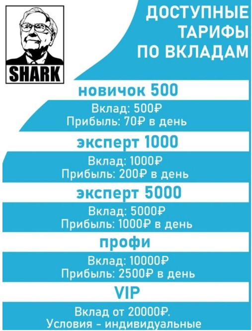 телеграмм канал shark александр обзор