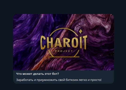 Charoit Project - о боте 