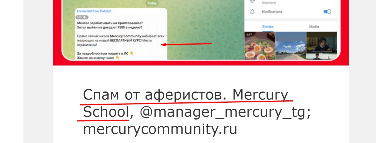 Mercury community - отзывы