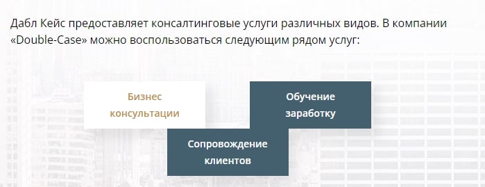 бизнес-консалтинг double-case