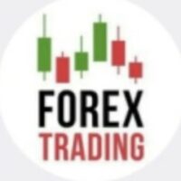 Bitforex телеграм лого