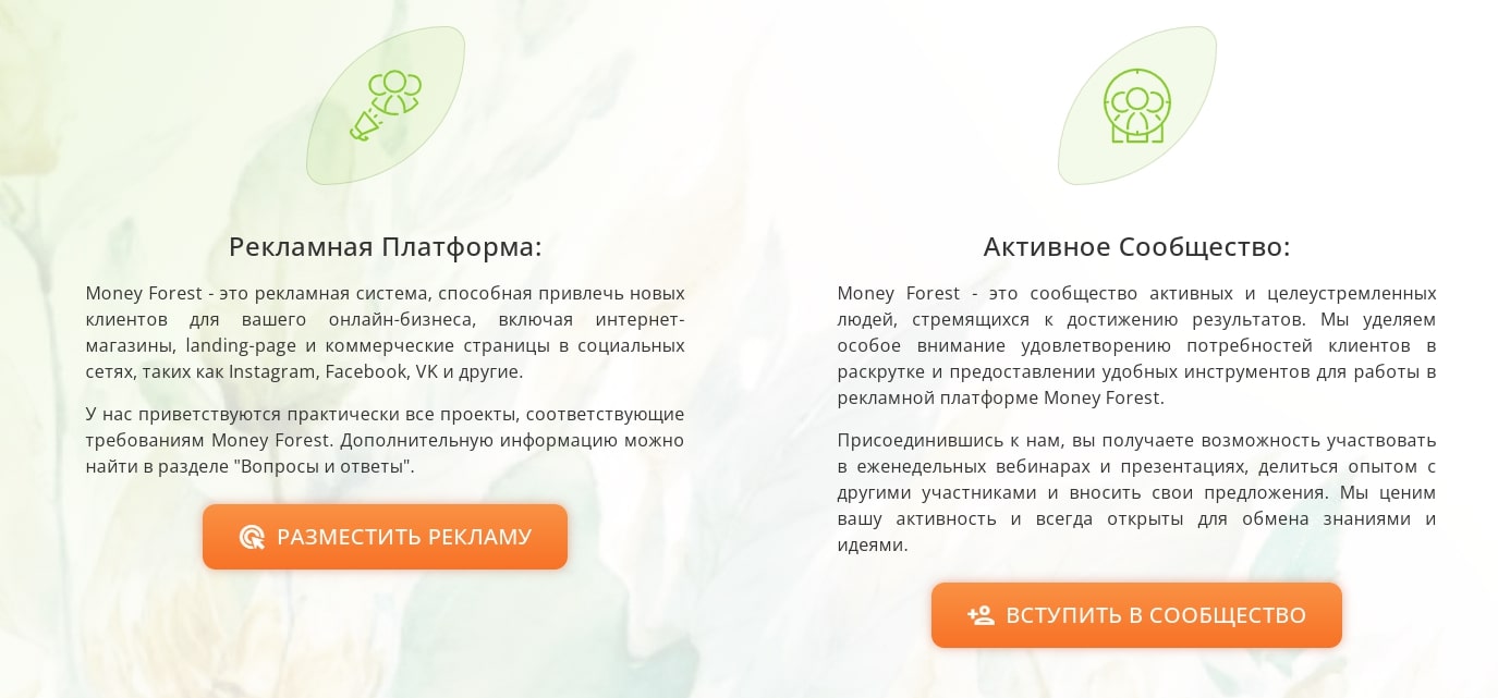 Money Forest сайт инфа