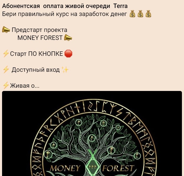 Money Forest инфа