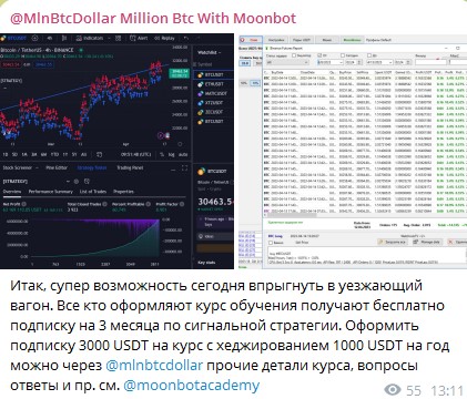 Mlnbtcdollar статистика