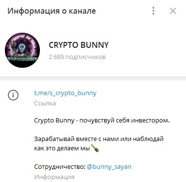 crypto bunny