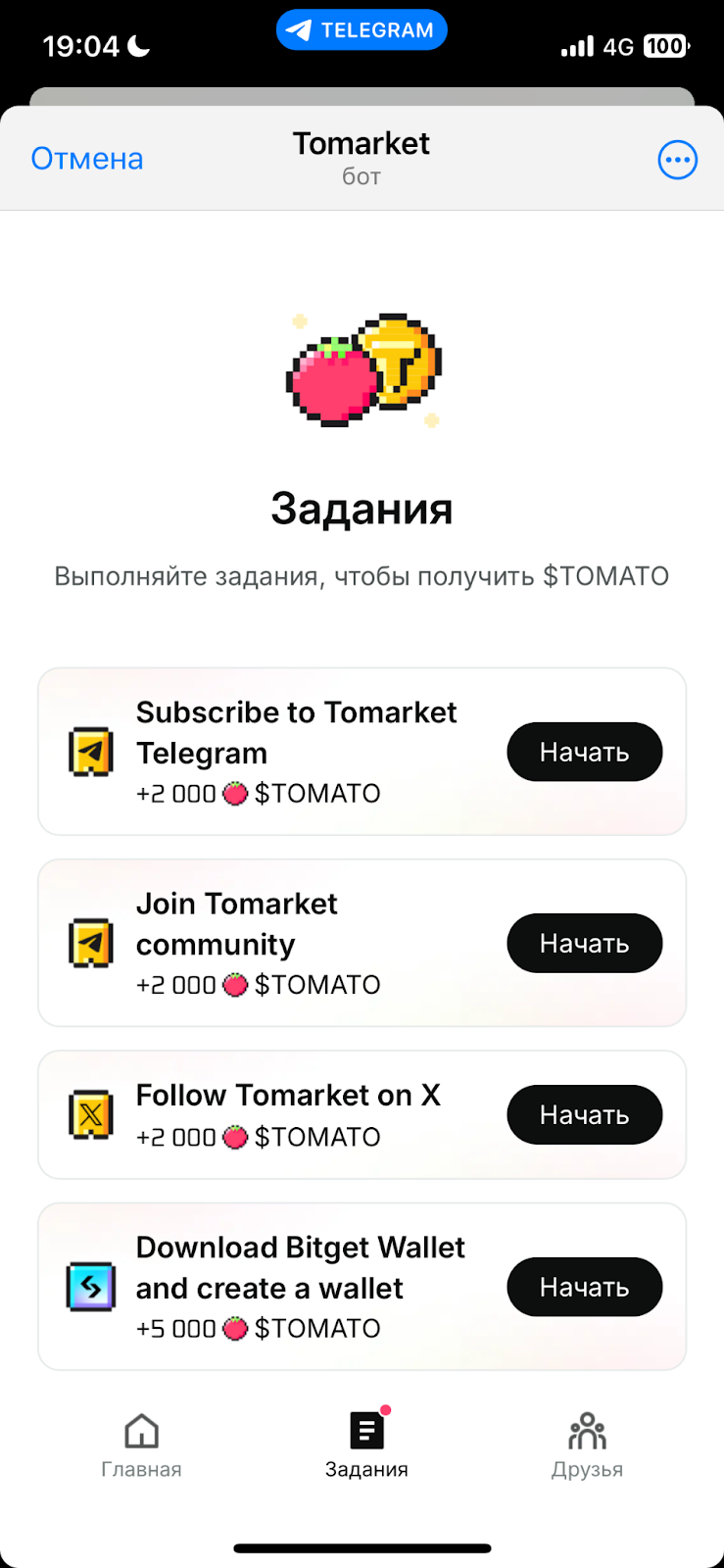 tomarket тапалка